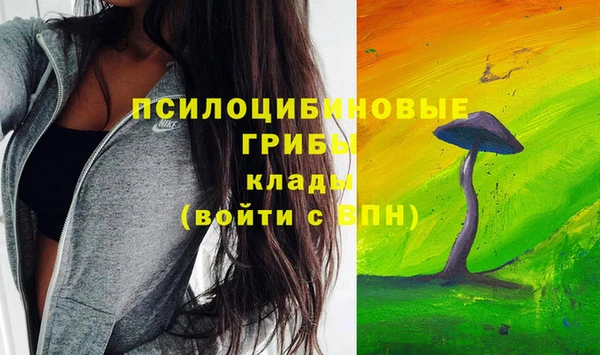 таблы Новодвинск