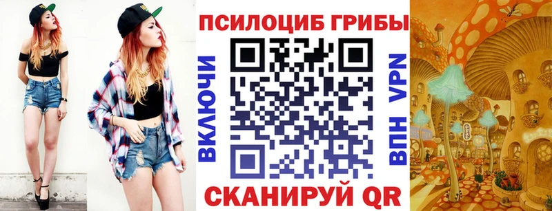 Купить где  Среднеколымск  Псилоцибиновые грибы Cubensis 